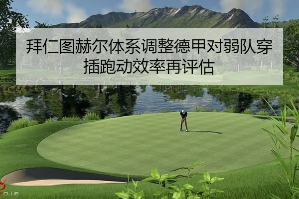 bai-ren-tu-he-er-ti-xi-tiao-zheng-de-jia-dui-ruo-dui-chuan-cha-pao-dong-xiao-lv-zai-ping-gu-2-538.jpg